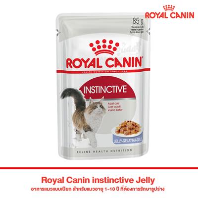 Royal Canin instinctive Jelly อาหารแมวแบบเปียก สำหรับแมวอายุ 1-10 ปี ที่ต้องการรักษา