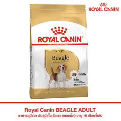Royal Canin BEAGLE ADULT อาหารสุนัขโต พันธุ์บีเกิ้ล รัสเซล (แบบเม็ด) อายุ 10 เดือนขึ้นไป (3 kg , 12kg)